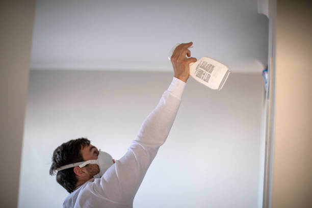 Best Commercial Mold Removal  in Cloverport, KY