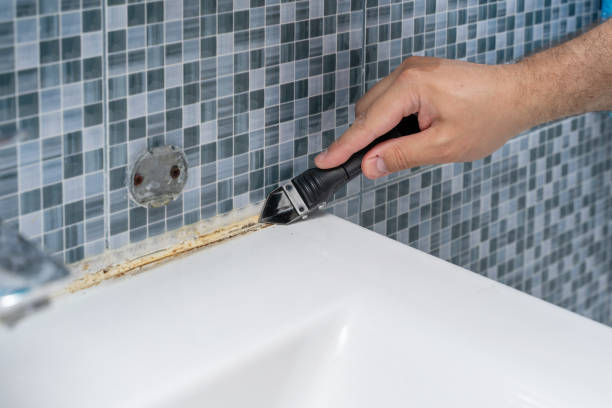 Best Same-Day Mold Removal  in Cloverport, KY